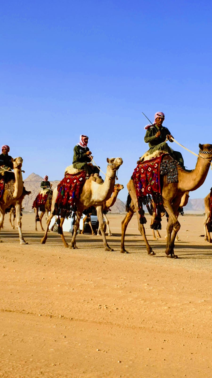 Bedouins on camels in Wadi Rum, Jordan