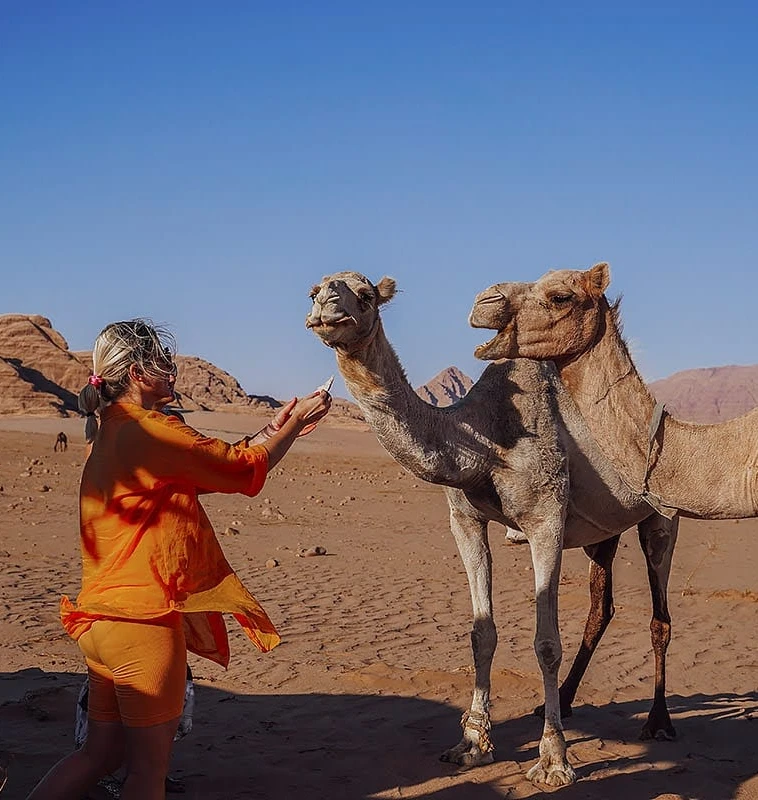 Local camel guide standing beside two camels in Wadi Rum
