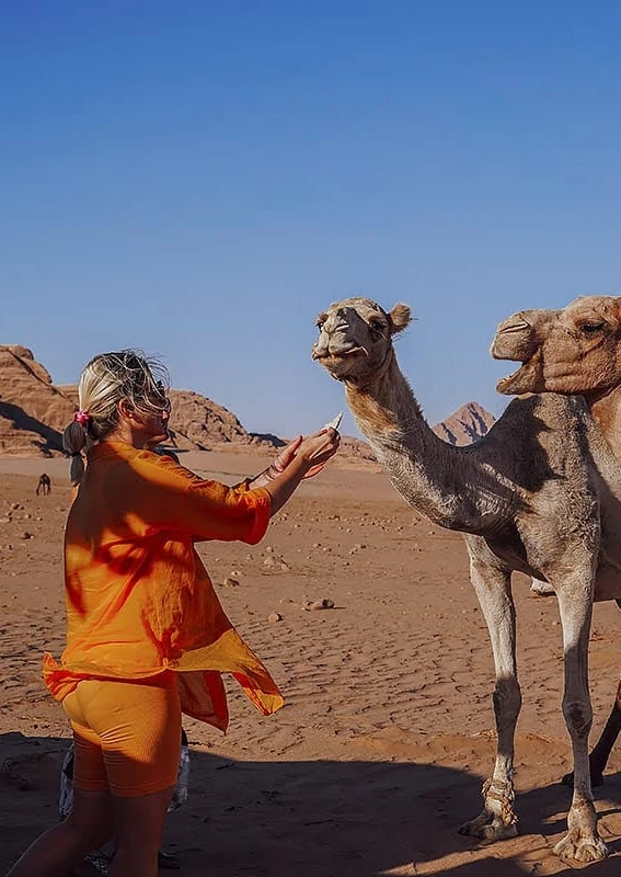 Local camel guide standing beside two camels in Wadi Rum