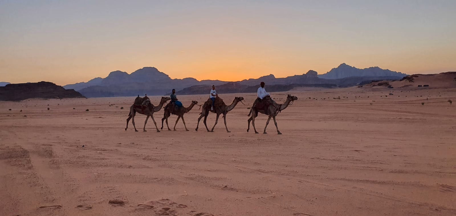 Camel caravan crossing Wadi Rum at sunrise