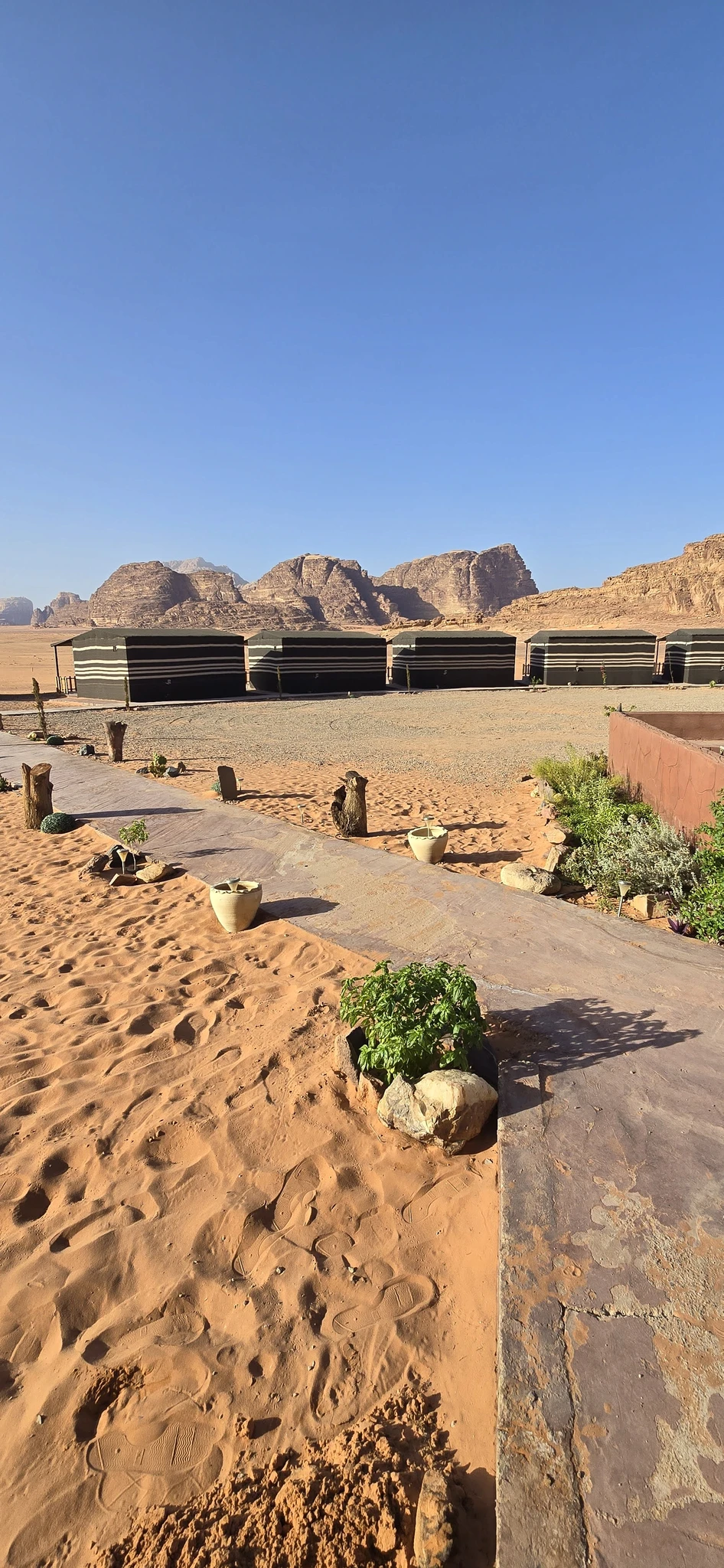 Camp Houses set along sandy paths with desert plants