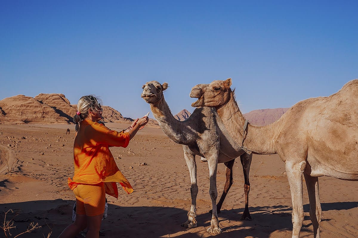 Our guest with a camel in Wadi Rum, Jordan